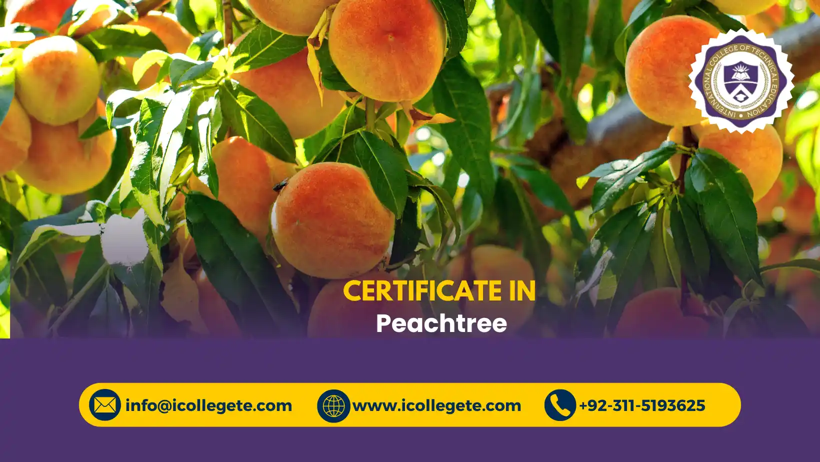 Peachtree Course in Rawalpindi